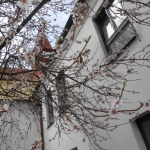 DSCN0058.JPG
