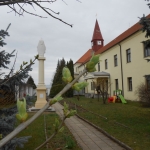 DSCN0076.JPG