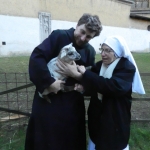 ovečka.JPG