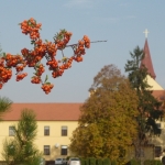P1080250.JPG