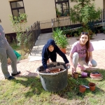 IMG_20230501_103342.jpg