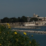P1080530.JPG