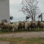 P1080599.JPG