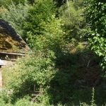P1090500.JPG