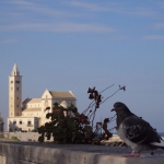 DSC00503.JPG