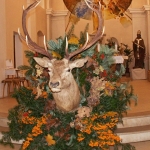 PICT4847.JPG